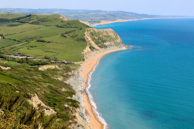 chaflossi landscape ランドスケープ